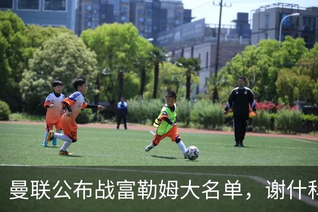 曼联公布战富勒姆大名单，谢什科恐伤缺！巴莱巴首次入选随队出征